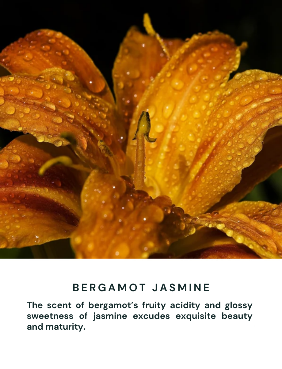 Bergamot Jasmine