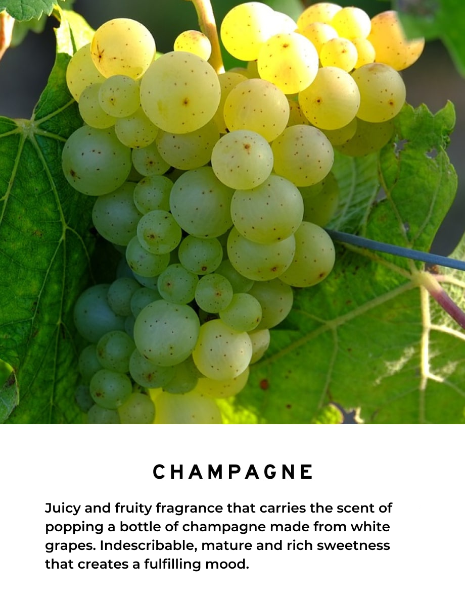 Champagne